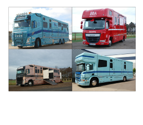 Racehorse & Transporters